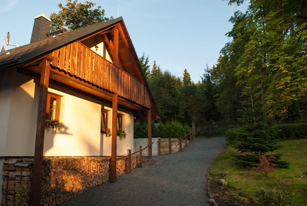Haus Waldfrieden Apartment Altenberg  Exterior foto