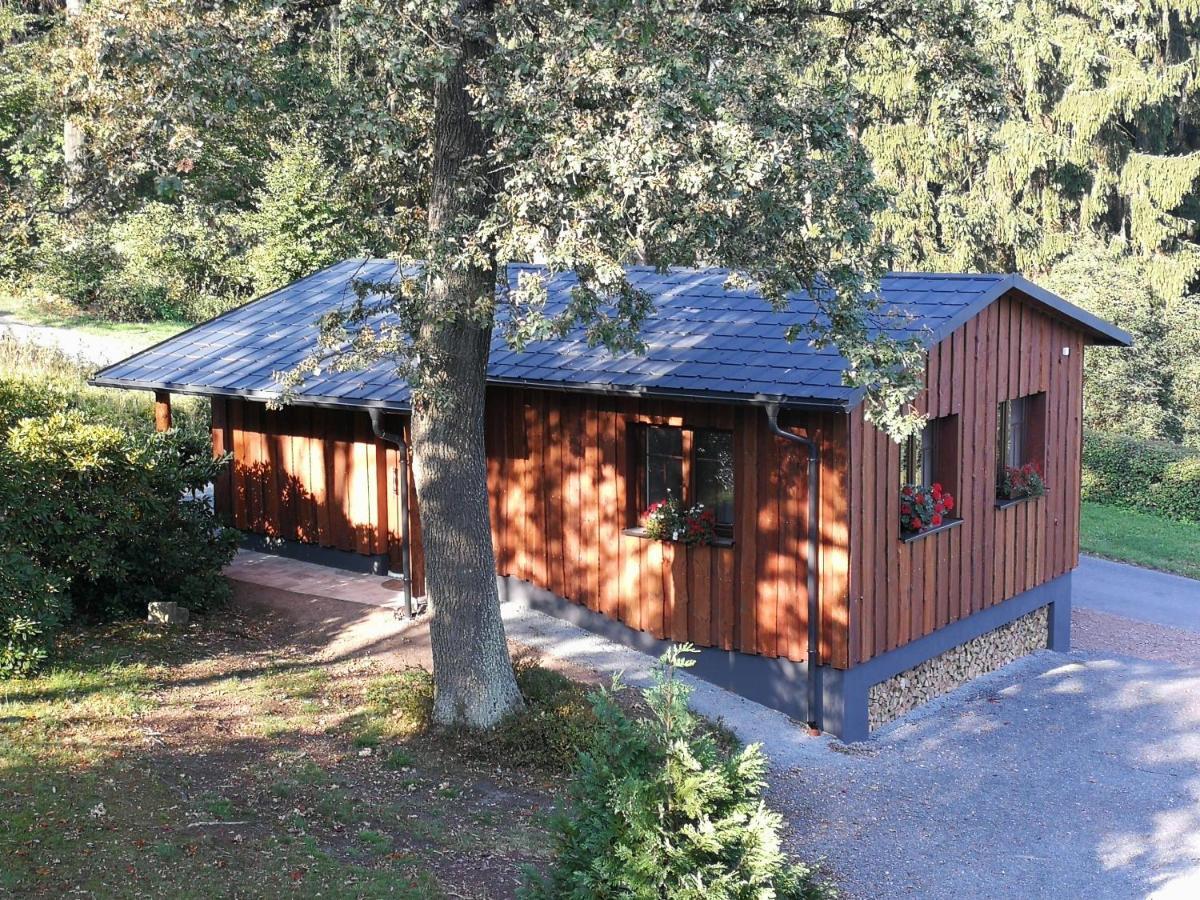 Haus Waldfrieden Apartment Altenberg  Exterior foto