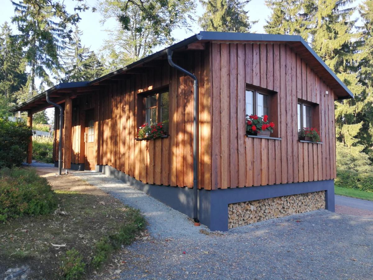 Haus Waldfrieden Apartment Altenberg  Exterior foto