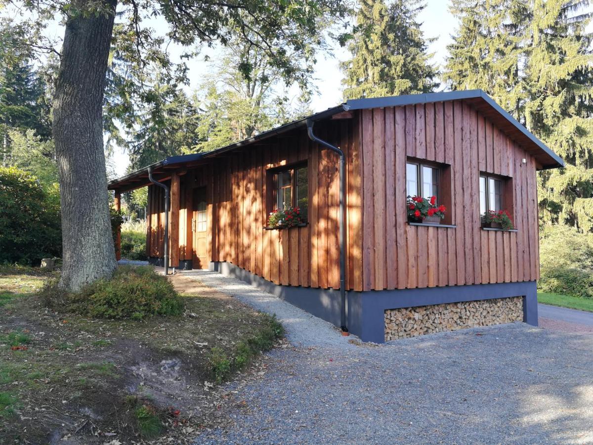 Haus Waldfrieden Apartment Altenberg  Exterior foto